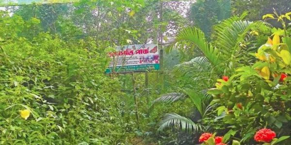 দ্বিজেন শর্মা উদ্যানে ৭০০ প্রজাতির গাছ